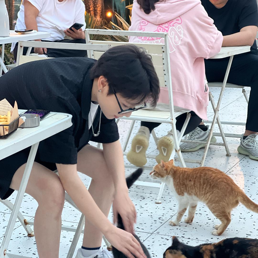 桐deeplive小洋
