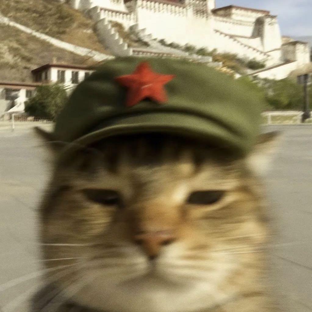 阿鑫吖