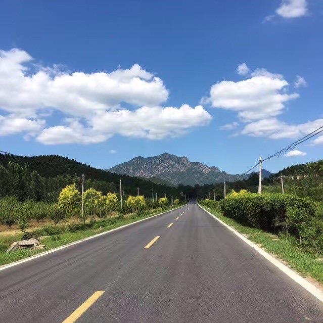 🌈三元催化器