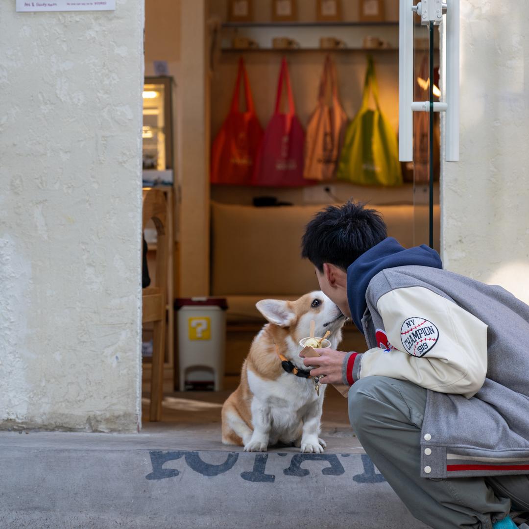 迪士尼在逃小天