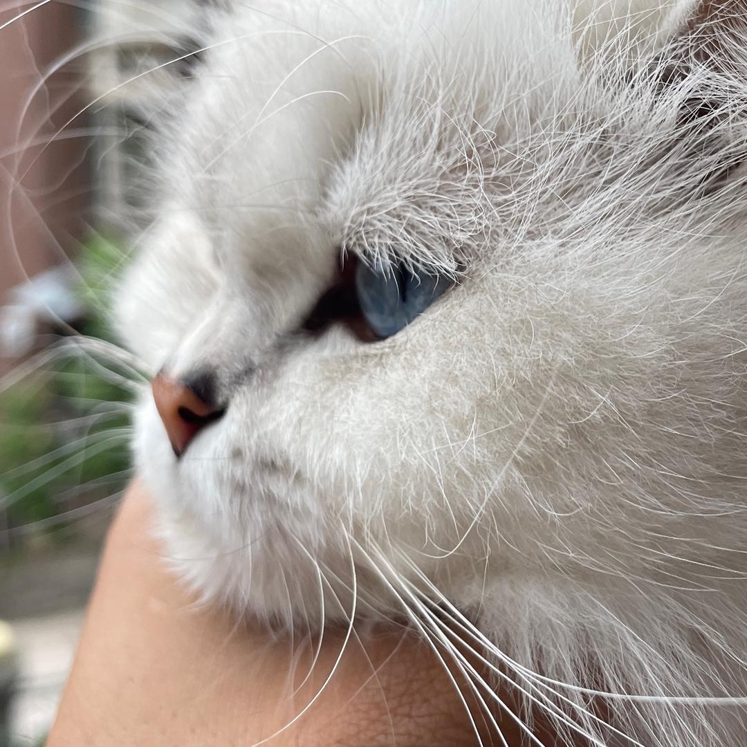 🌈污念