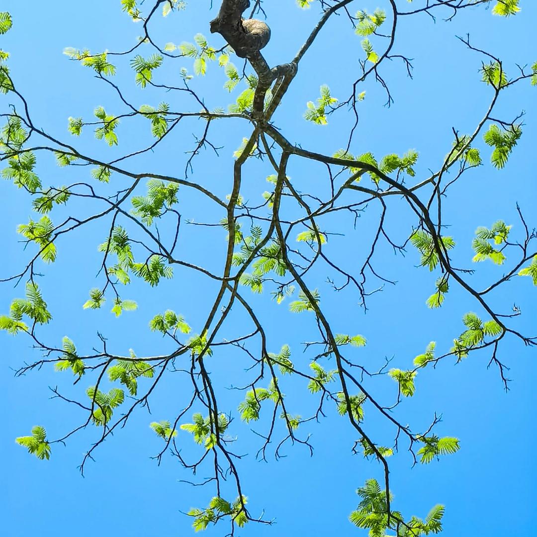 大风刮来人民币