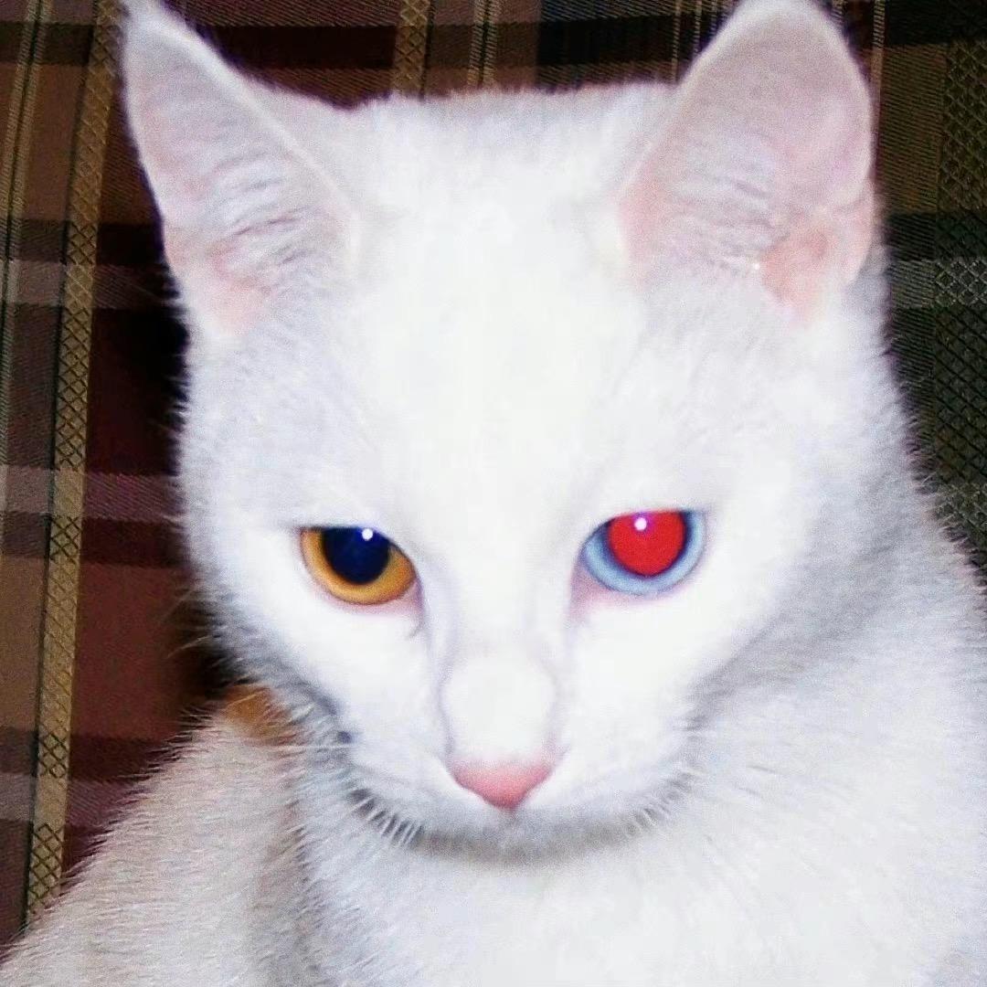 1 2 3