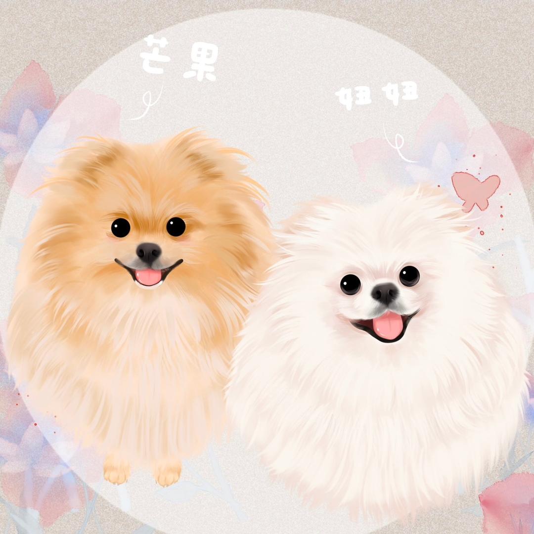 博美妞妞