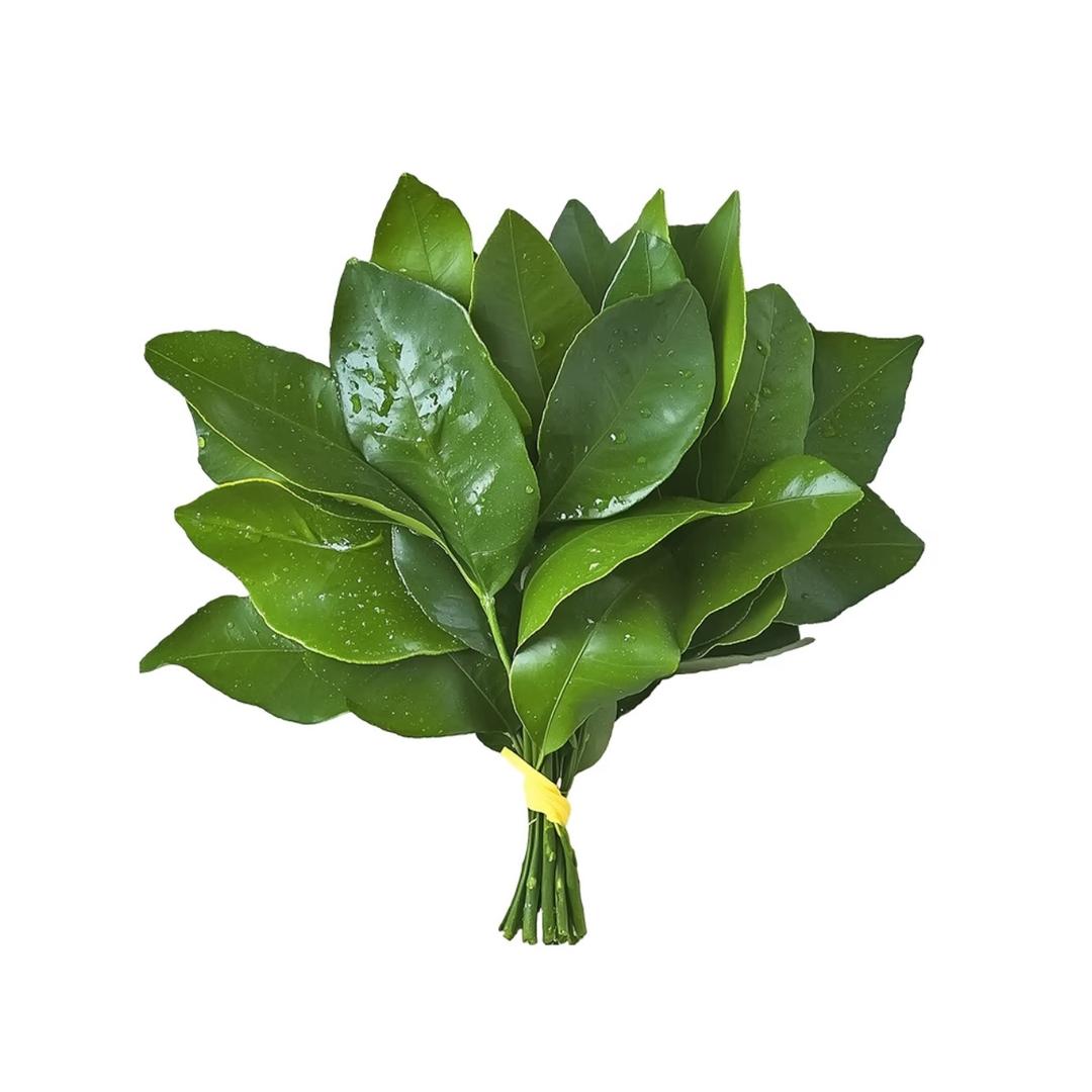 919