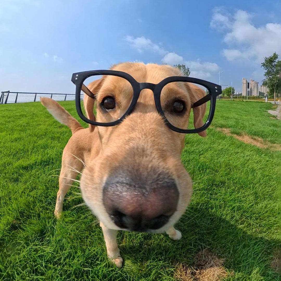 ꪖ᧚ꪖρᴛᥫᩣ໌້ᮨ