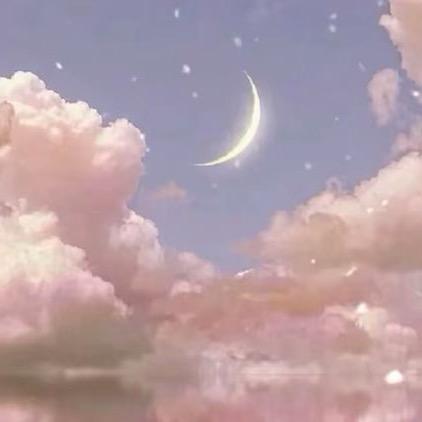 同行「董老师优选」🫥
