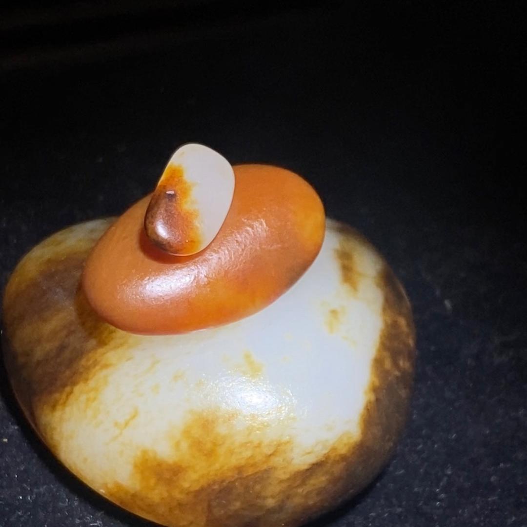 你的伴猪小姐姐