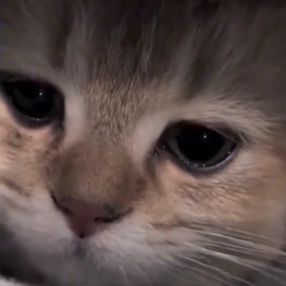 雾吹散的执念ヾ