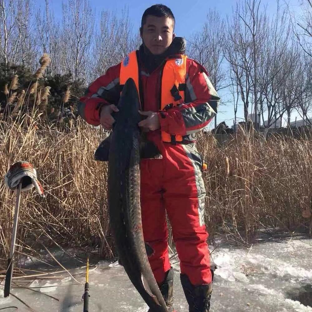 爱钓鱼的小张总