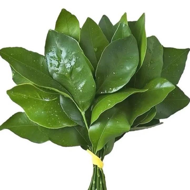 宏美出行（爱心出行）