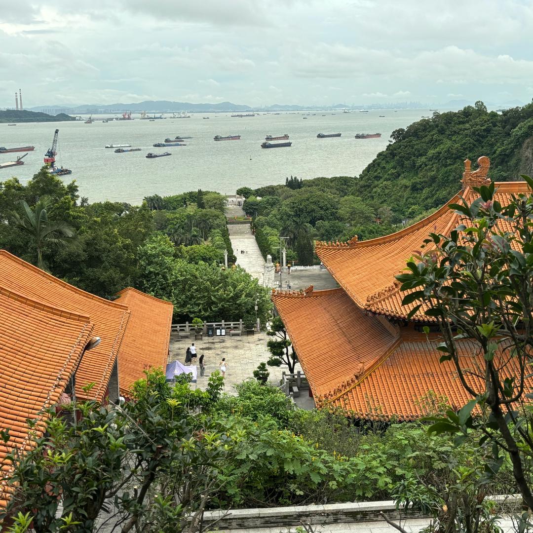 XGX　    　　    ༽ 🪳