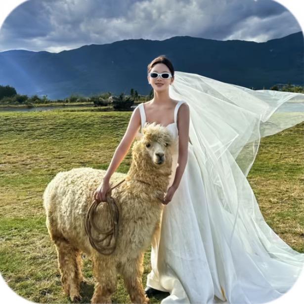 百万晓慧🧚🏻‍♀️