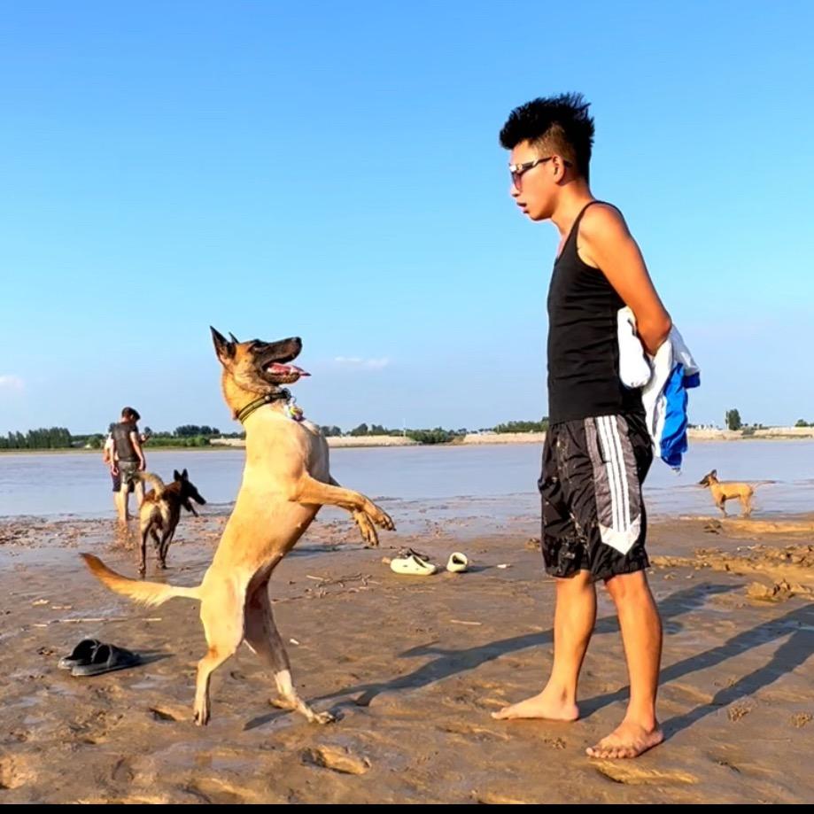 手插兜小助理