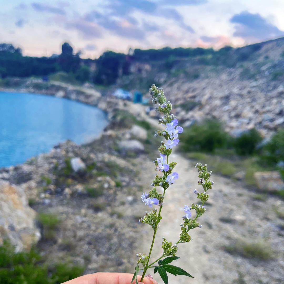 君利特机械有限公司
