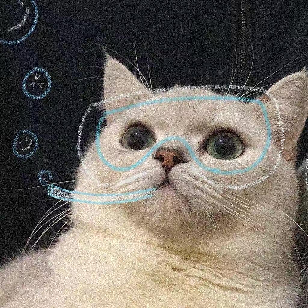 一只小松xu
