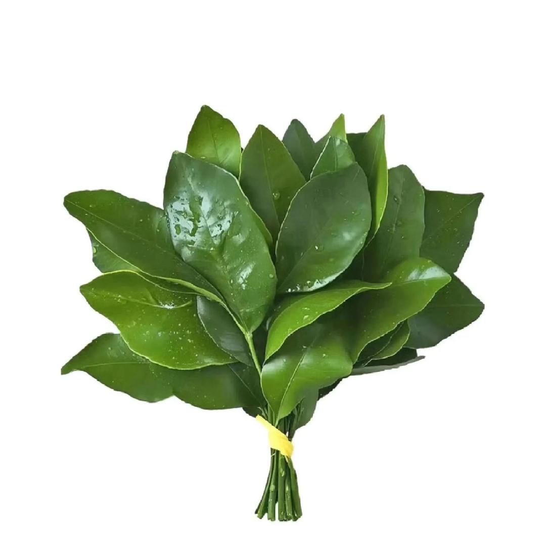 忧郁的小薯塔