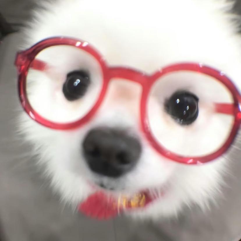 咬话筒线的小宝