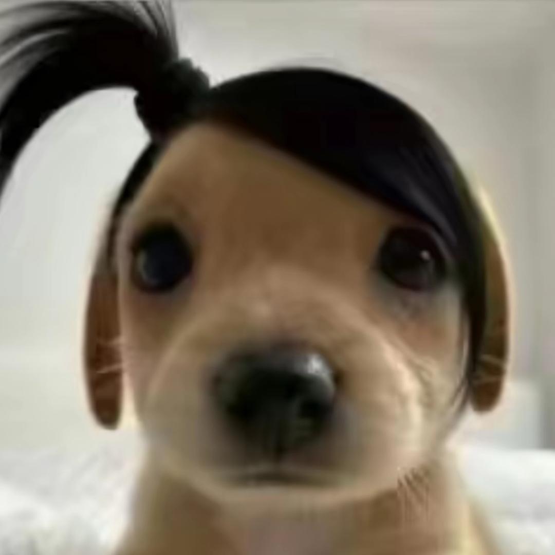 哈哈哈哈哈哈哈哈哈