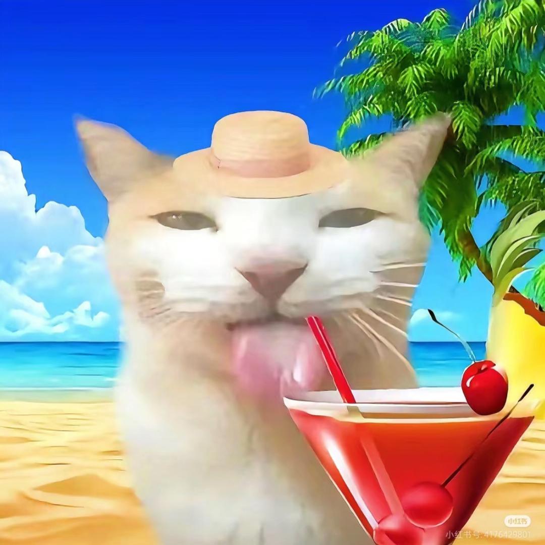 船 票