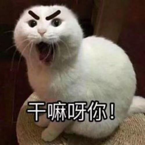 宏臣钢材