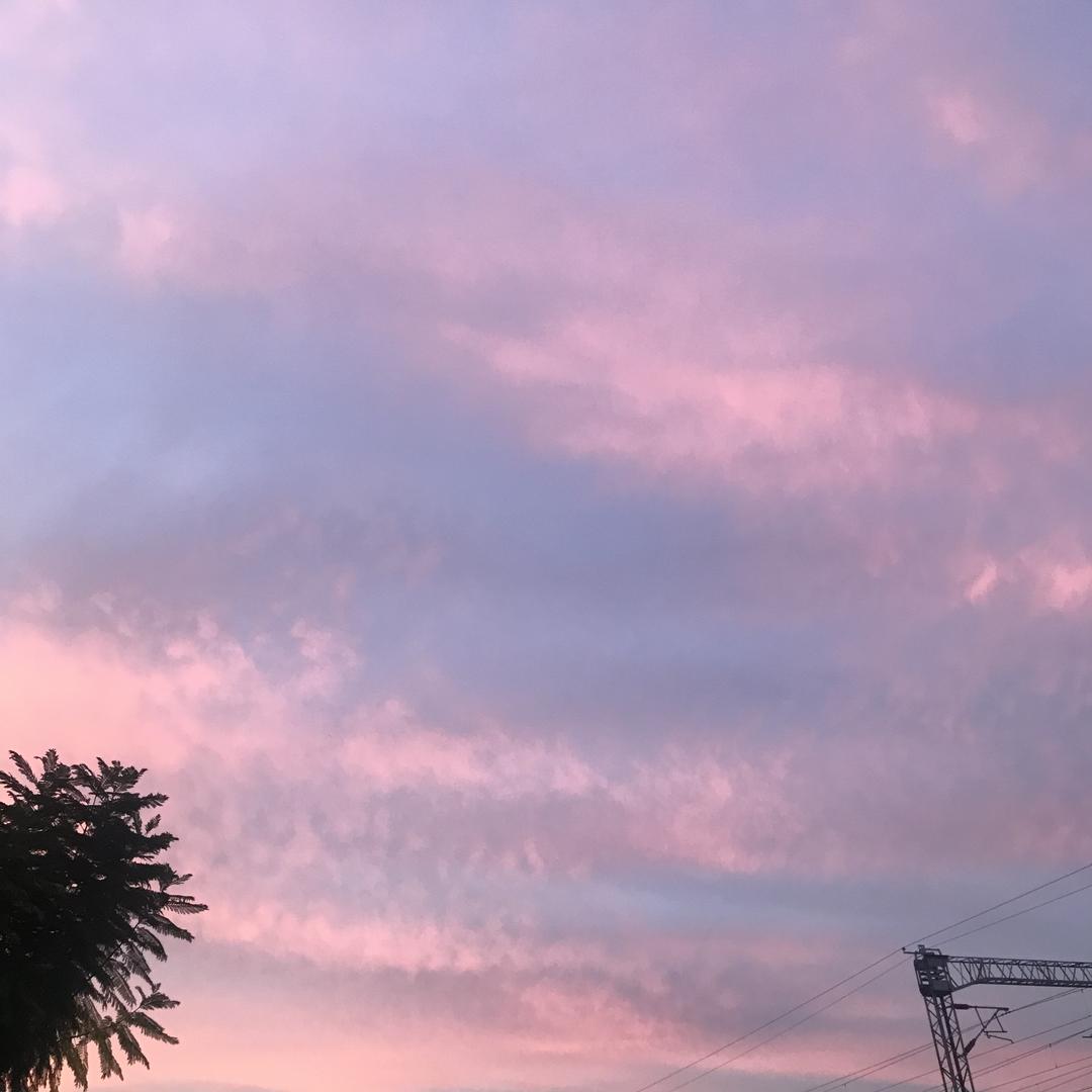不要香菜不要葱🌟