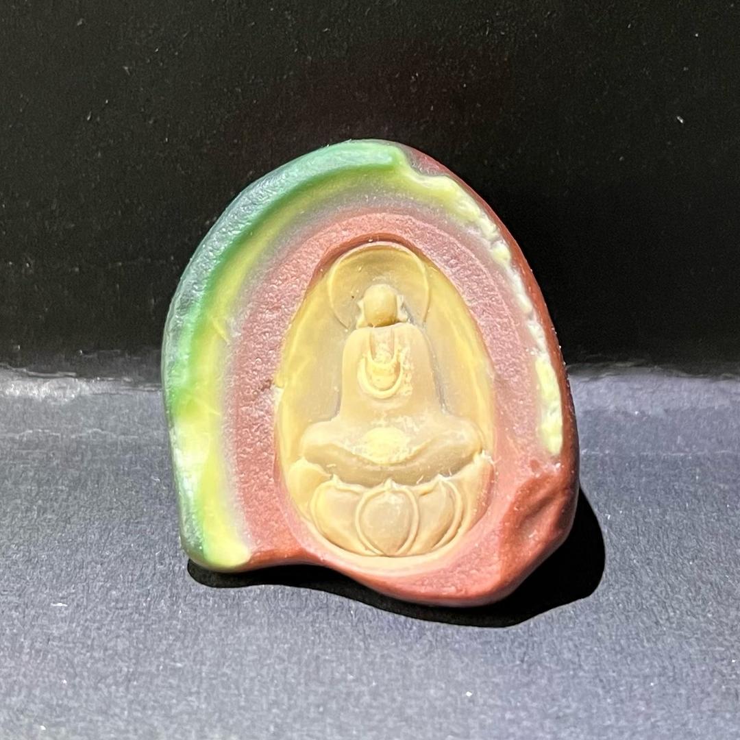 喜欢阿拉善的海兔