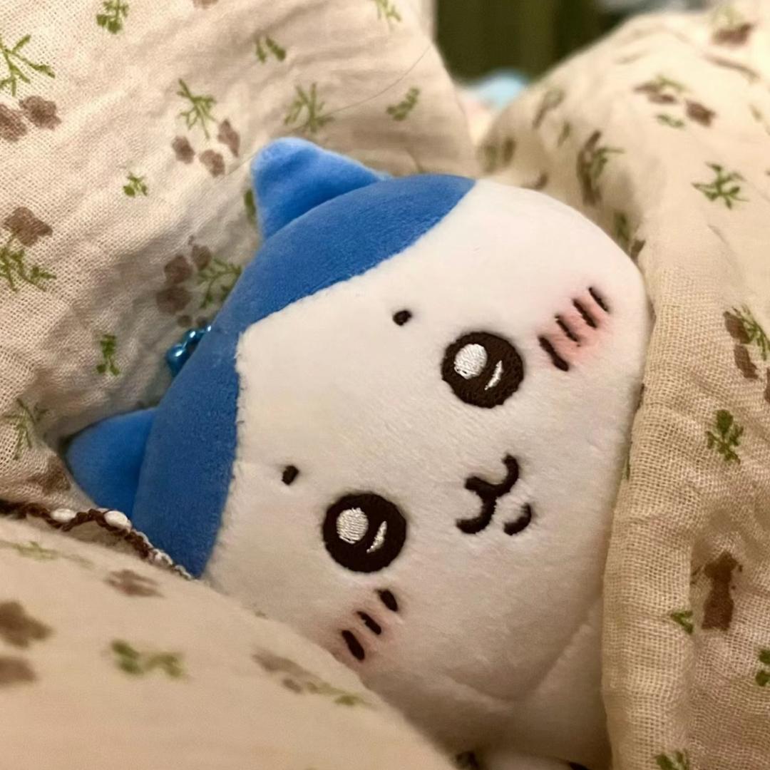 睡 不 醒-