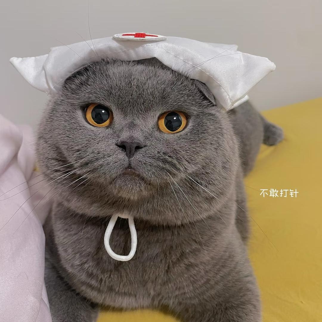 资深诊疗室