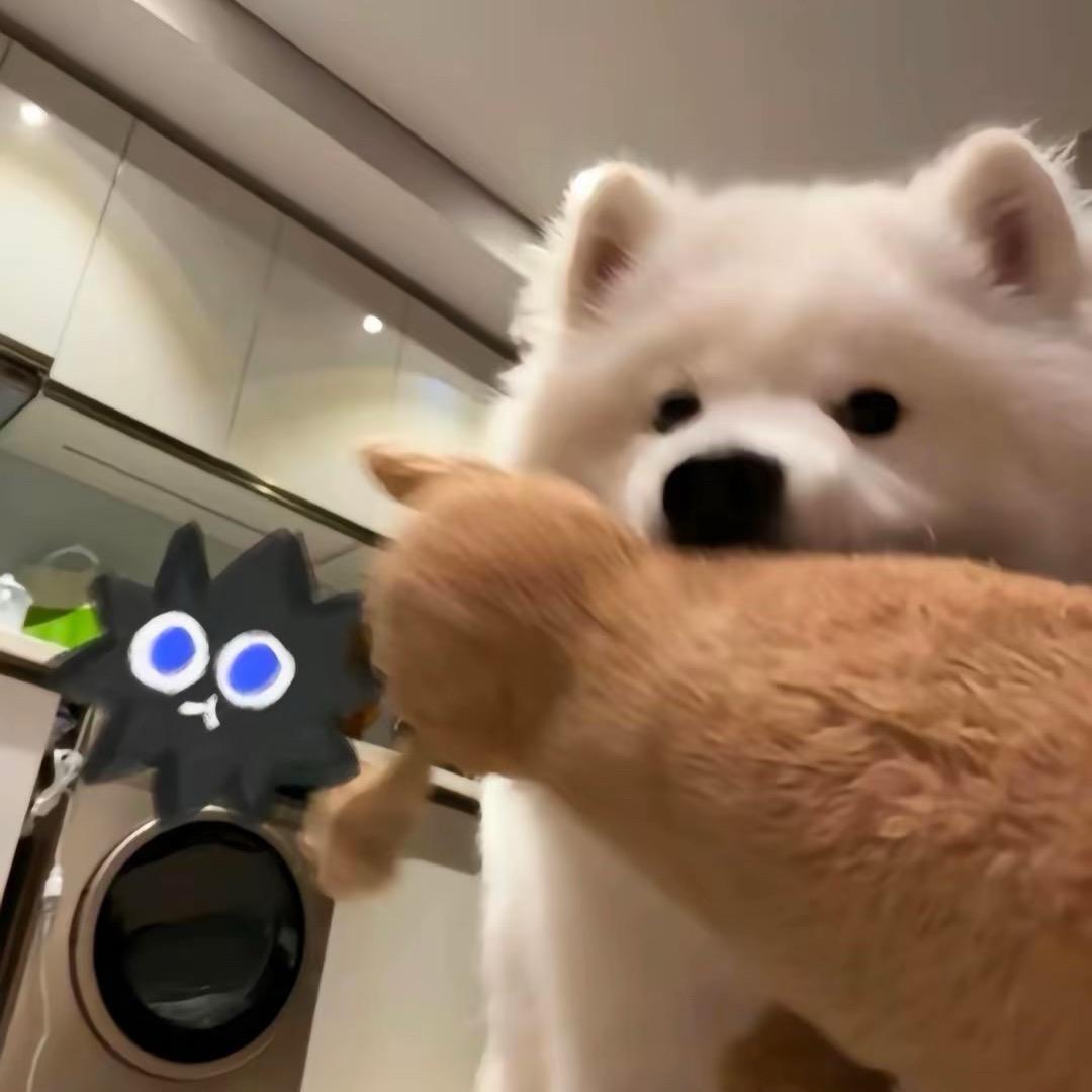 嘟嘟嘟～~