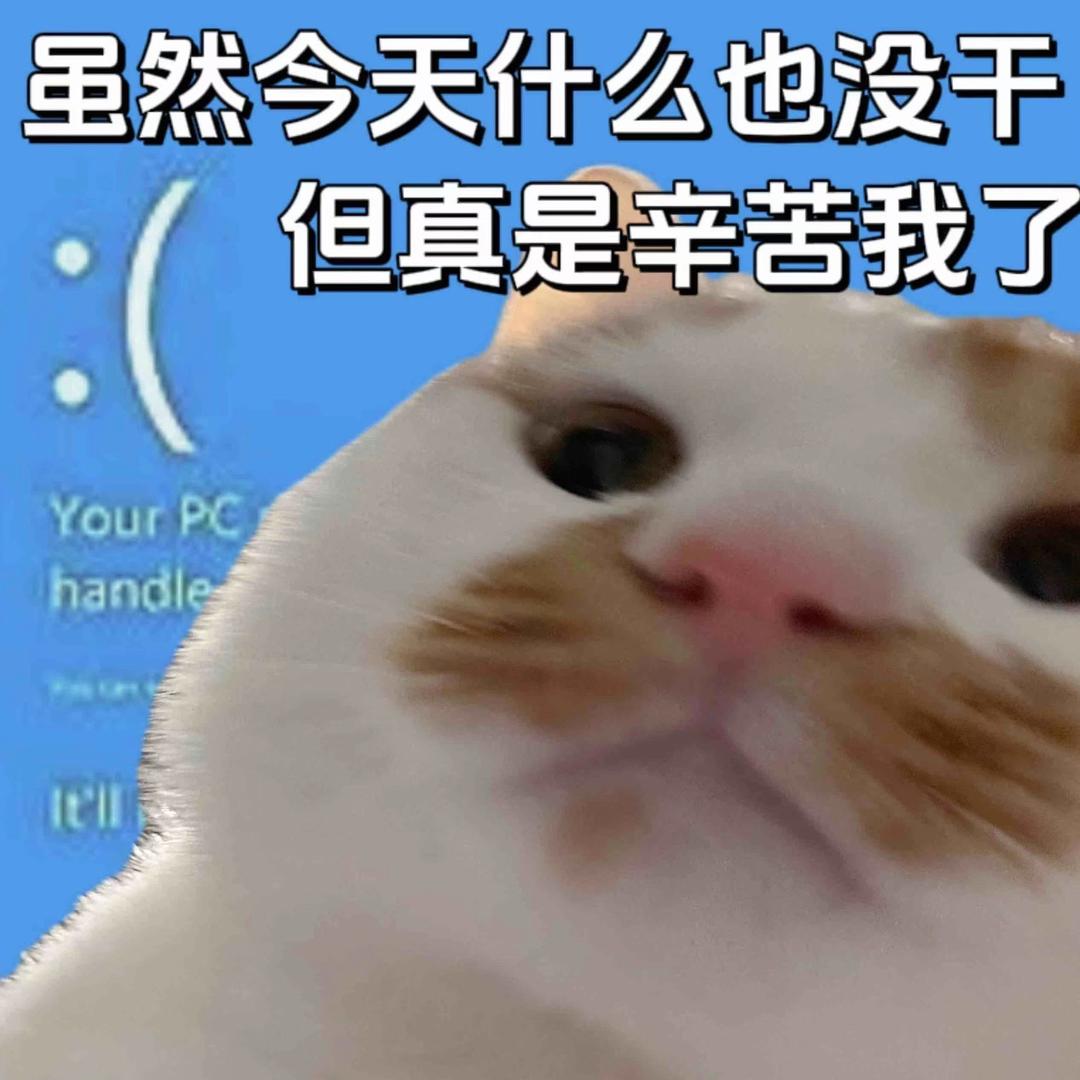 地球人阿星