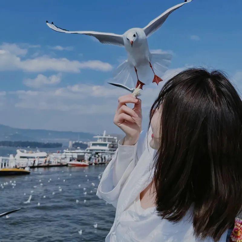 竹溪想莓