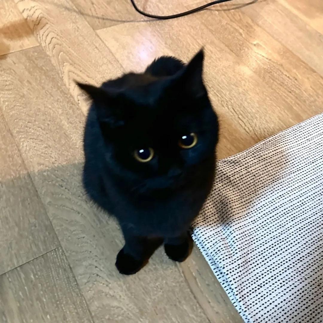 收留心碎眼镜宅