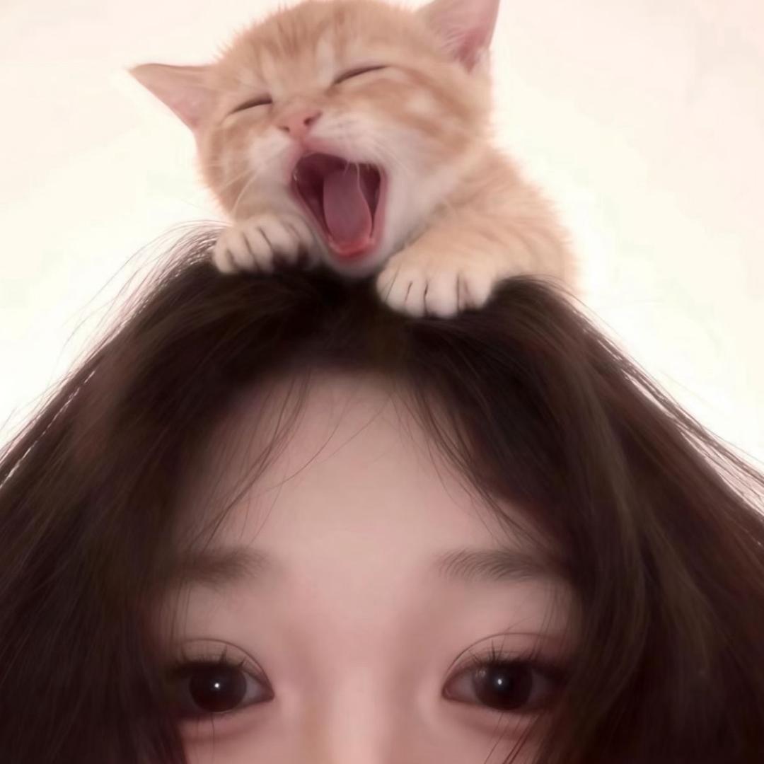 小元🎁回我安排