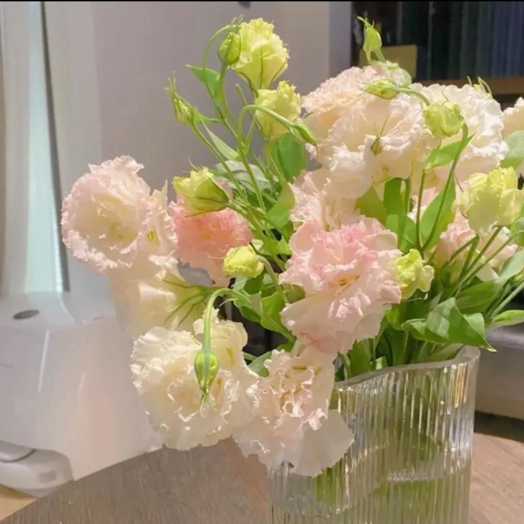 喜欢桔梗花的小胡同学