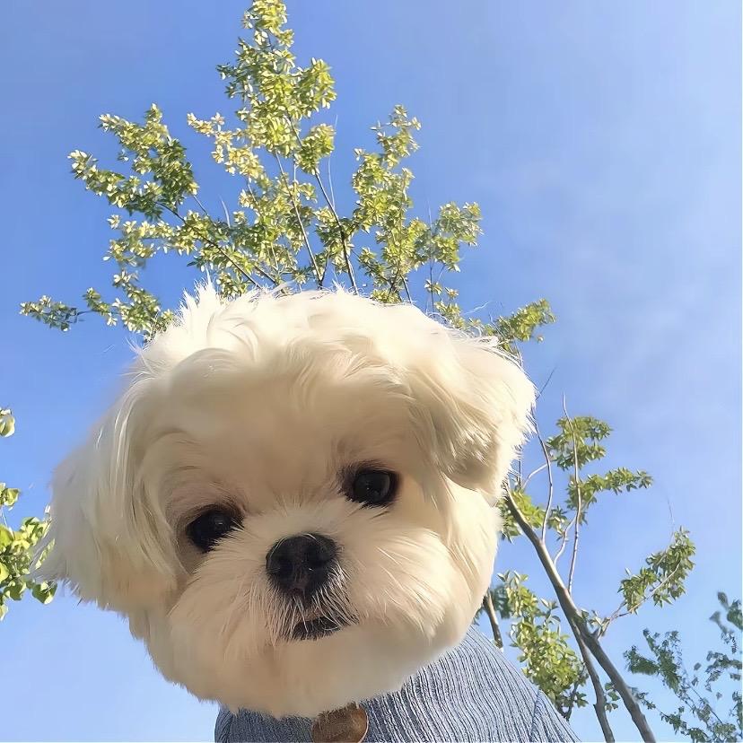 好样百货