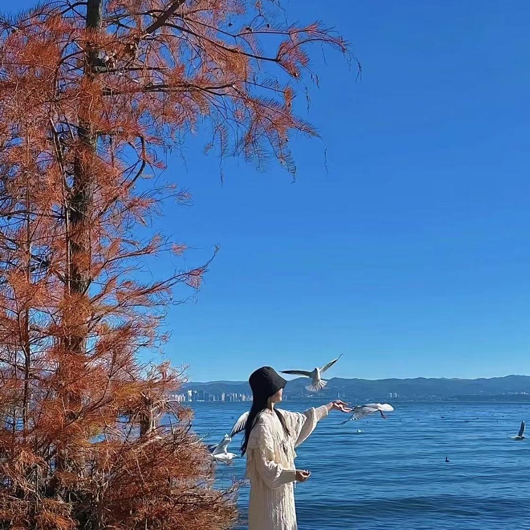 沫然～战友