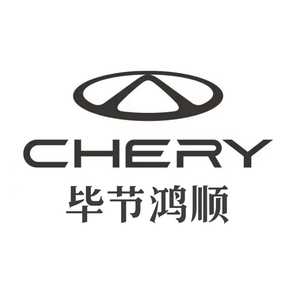 奇瑞汽车毕节总店（小美）