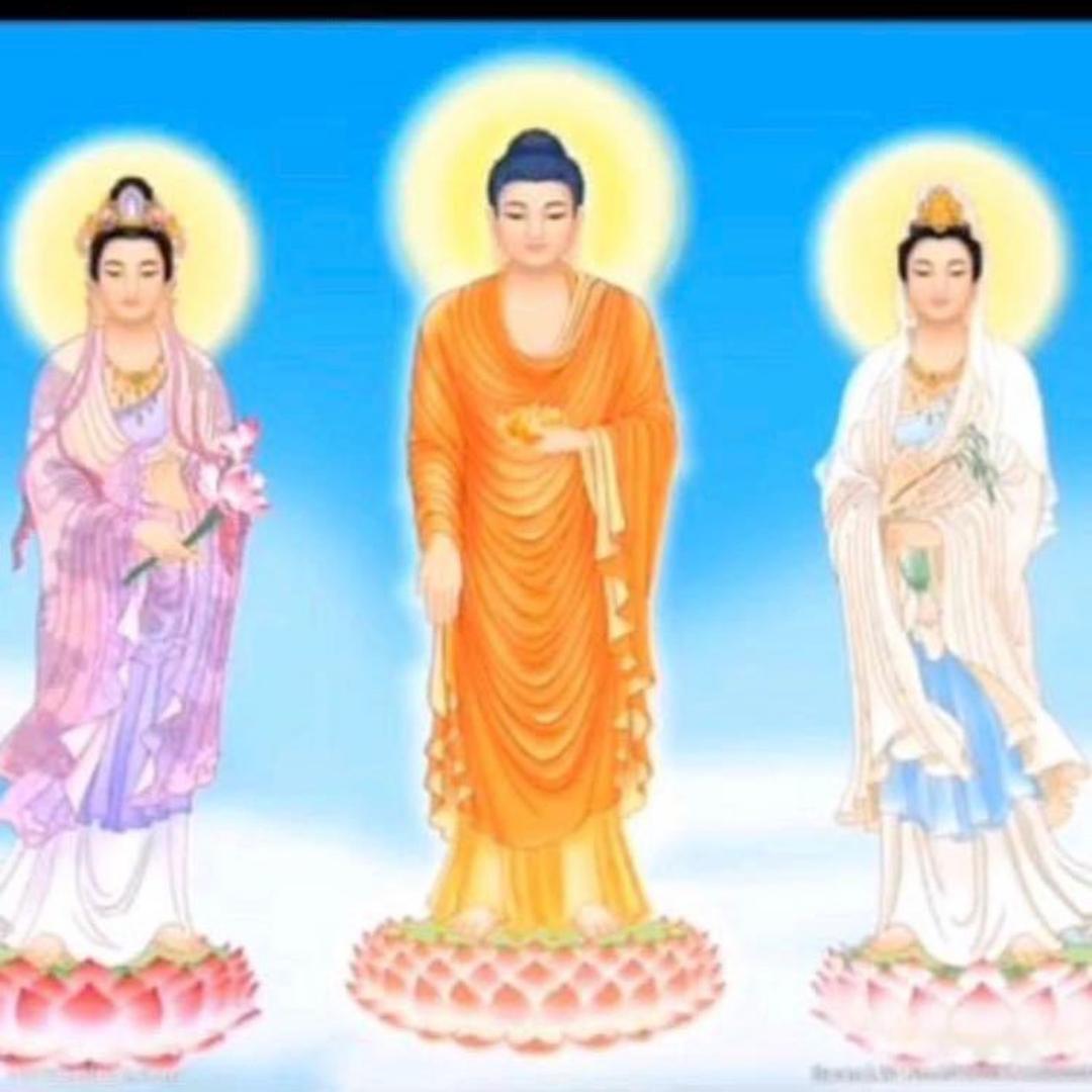 无生老娘我好想你