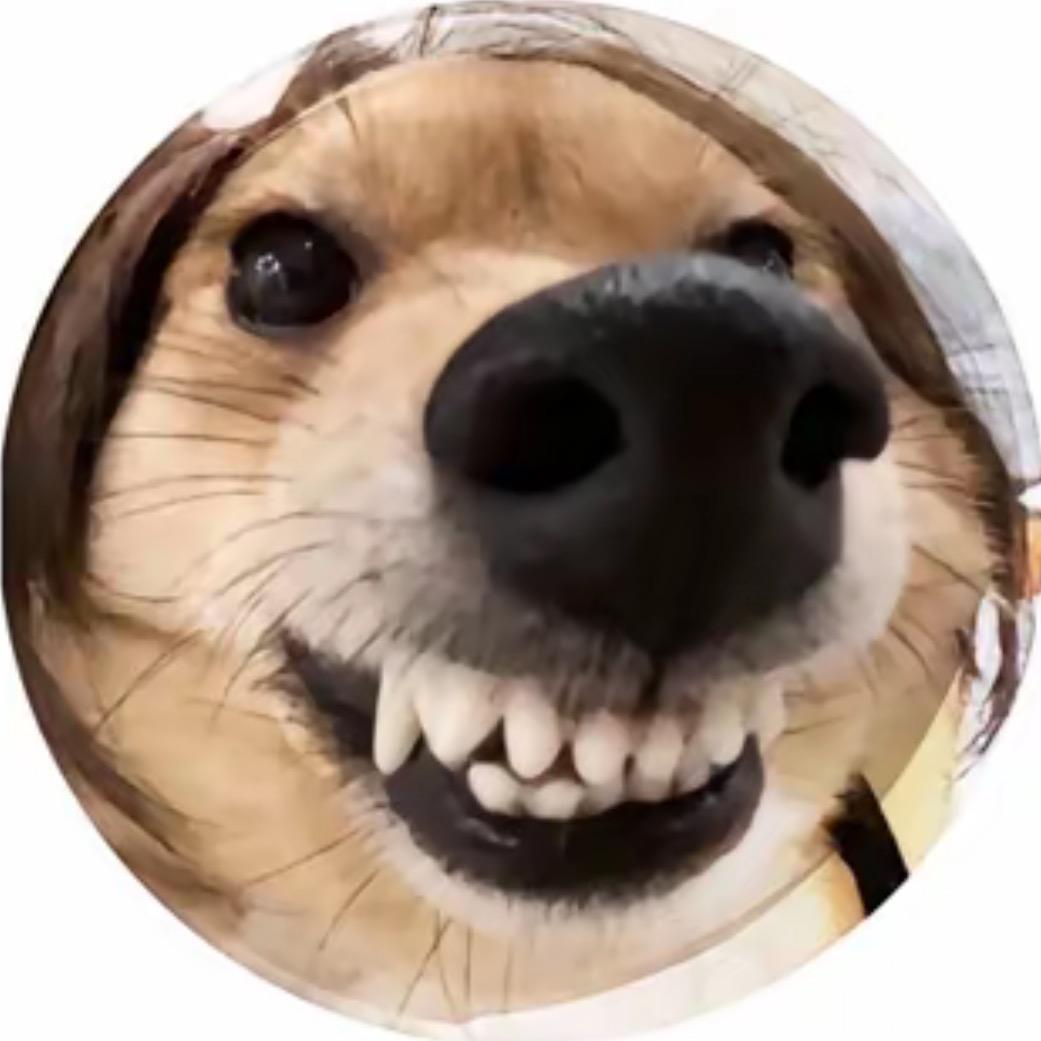 莱特te_