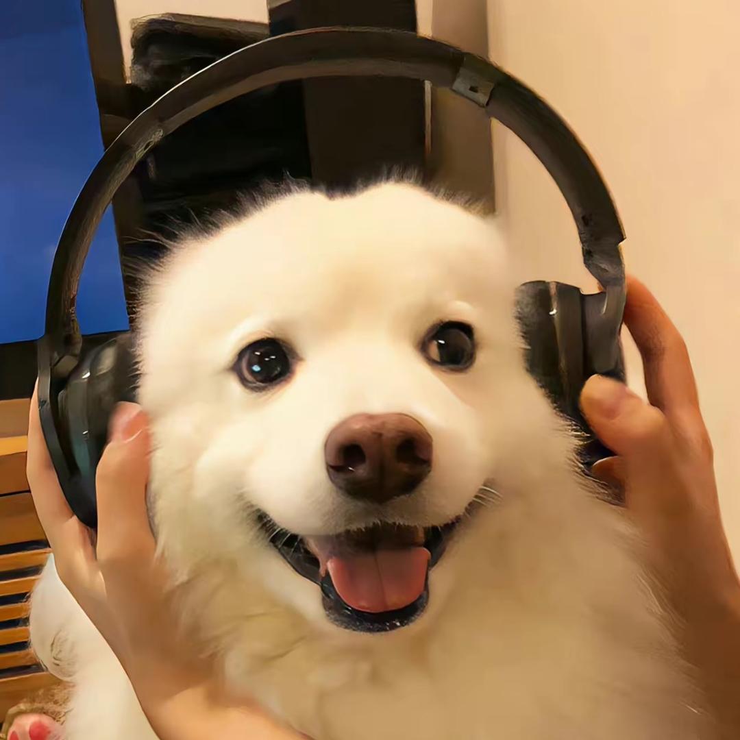 华华的宠物用品店