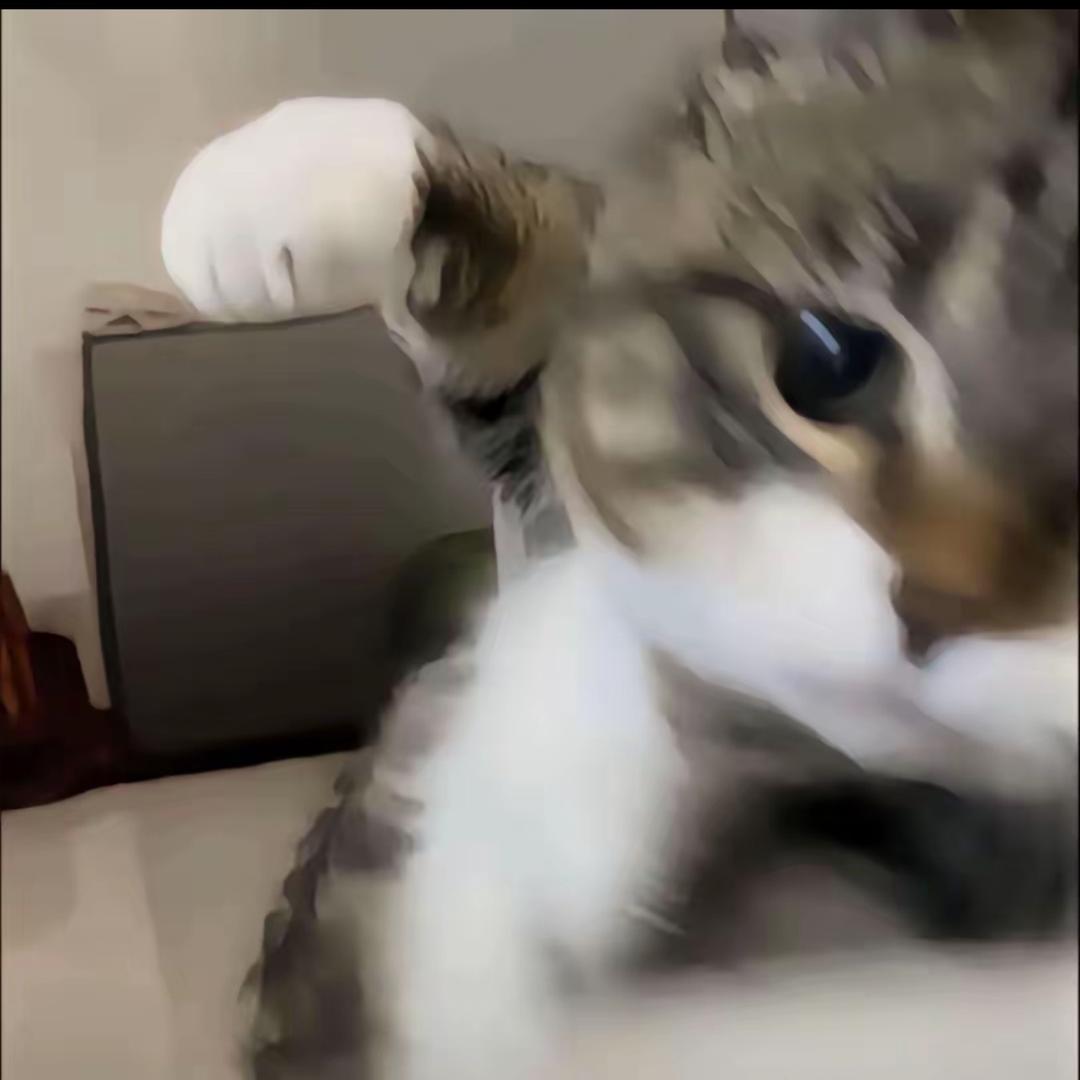 你是不是没吃饱
