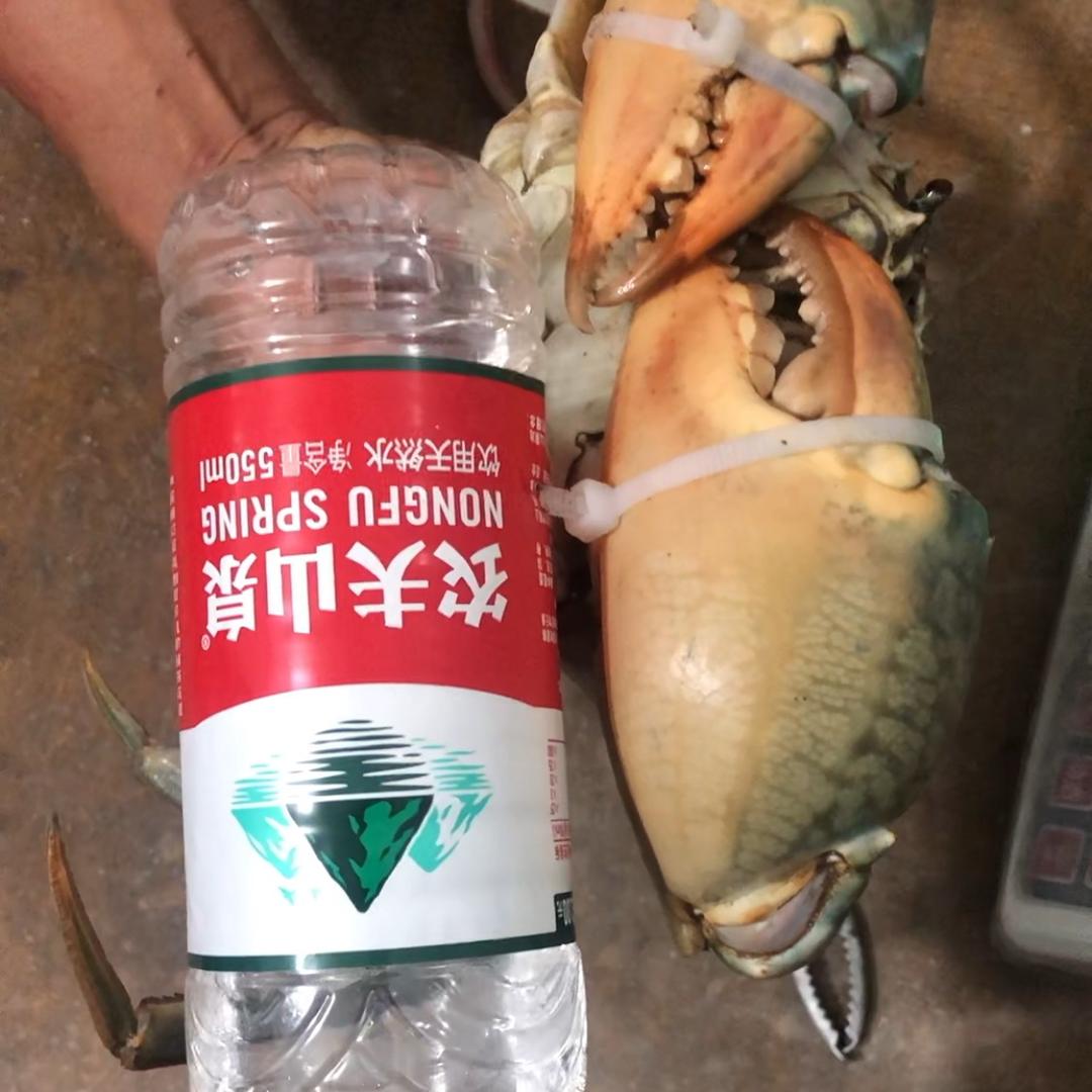 李龙辉