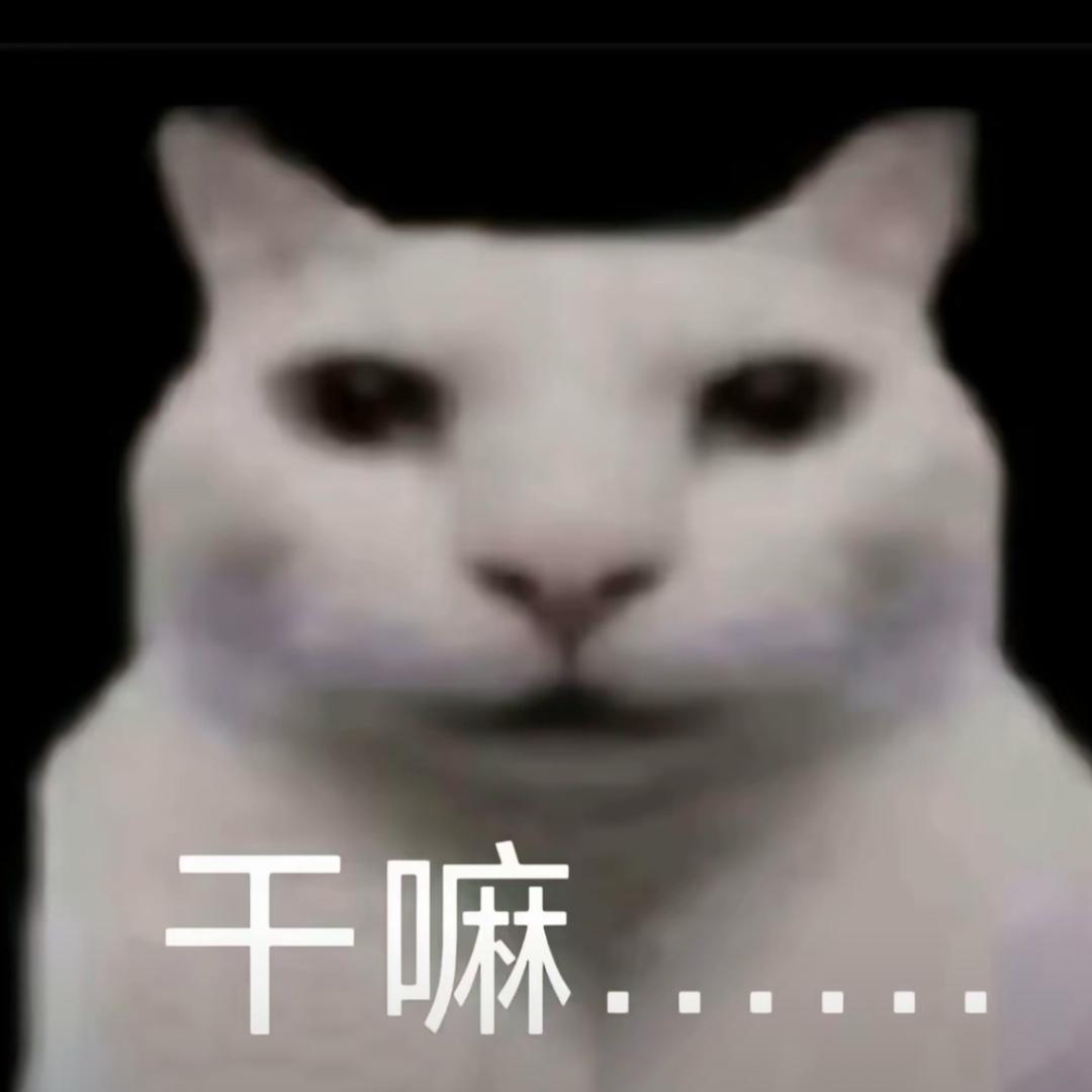 琲世