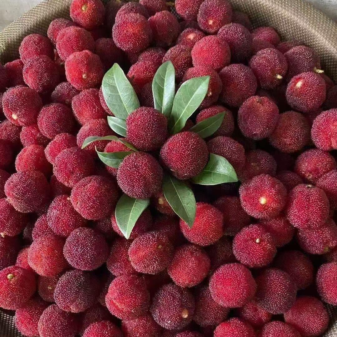 仙居县水明果蔬专业合作社