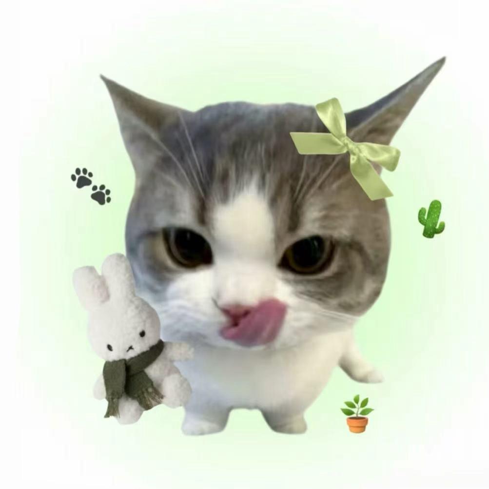 四叶草🍀🍀