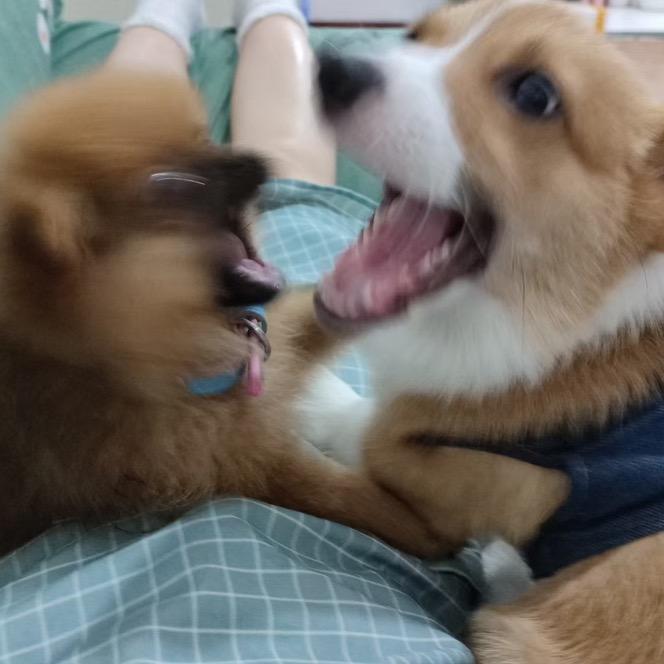 给六一和腹肌买罐罐