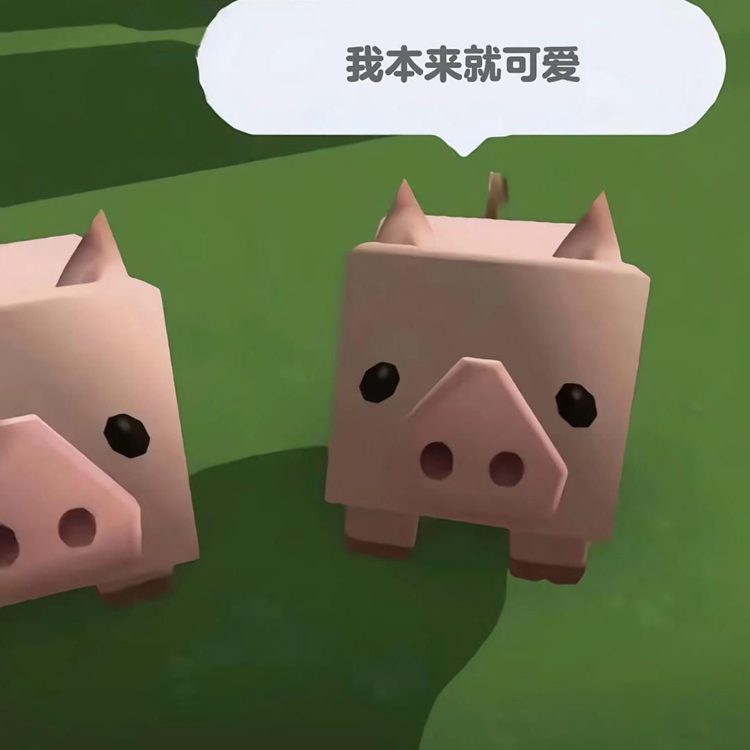 白菜