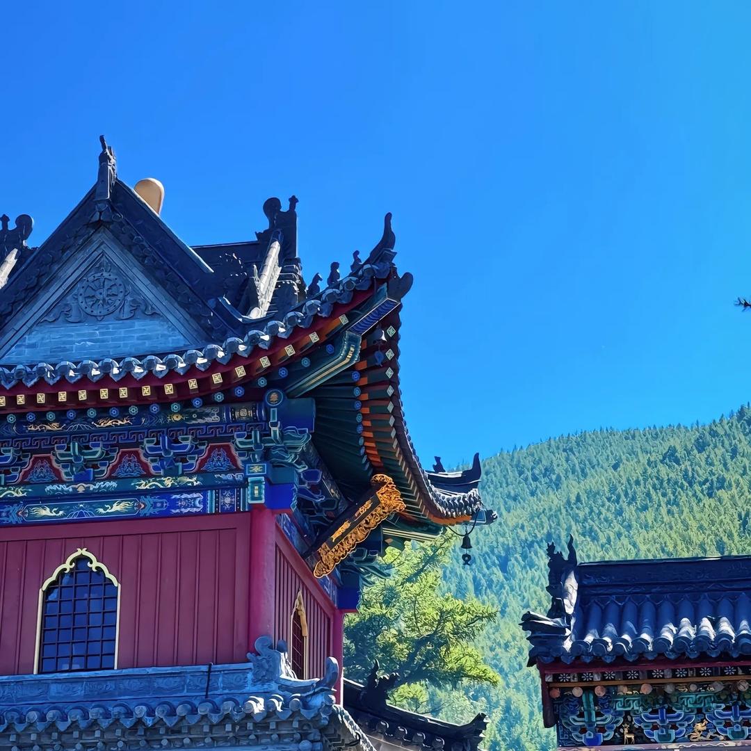 缘念师兄