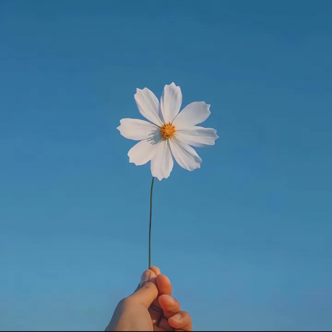 老刘别吃了